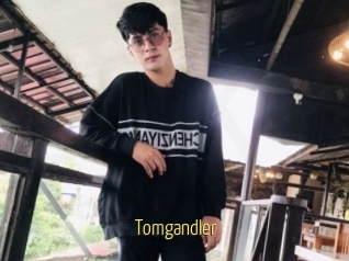 Tomgandler