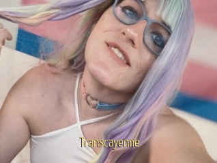 Transcayenne