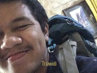 Triawidi