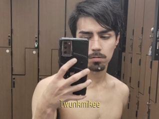 Twunkmikee