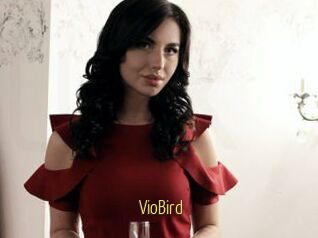 VioBird