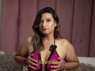 Vaneortiz