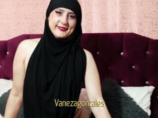 Vanezagonzales