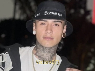 Vectorx073