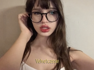 Velvetcassie