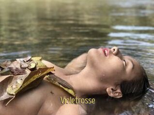Violetrosse