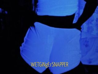 WETGiNgErSNAPPER