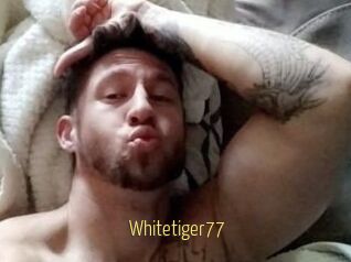 Whitetiger77