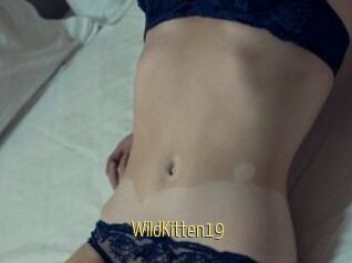 Wild_Kitten19