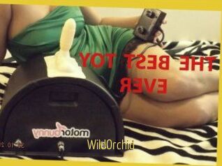 WildOrchid_