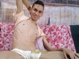 Wildandres