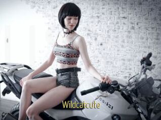 Wildcatcute