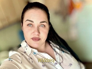 Wilddaisy