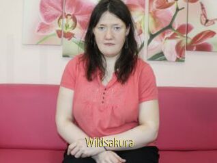 Wildsakura