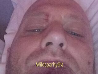 Wildsparky69