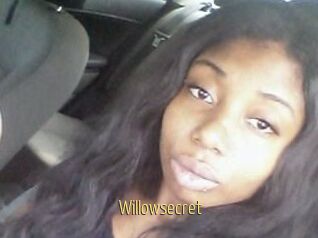 Willow_secret