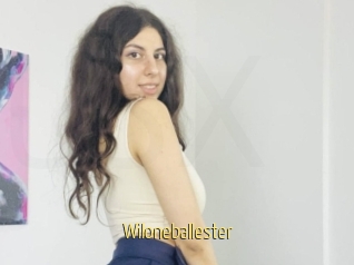 Wiloneballester