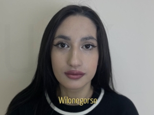 Wilonegorse