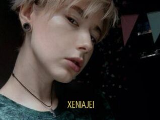 XENIA_JEI