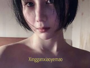 Xingganxiaoyemao