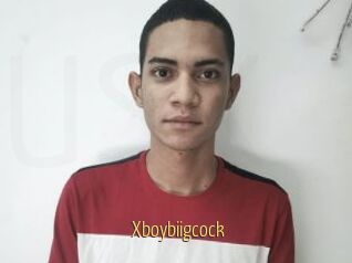 Xboybiigcock