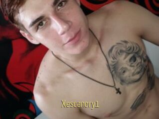 Xescanory1