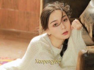 Xiaopengyou