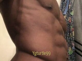 Ygturtle99