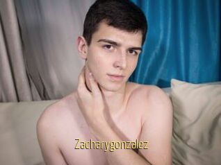 Zacharygonzalez