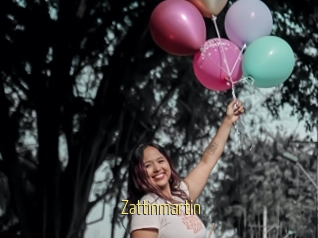 Zattinmartin